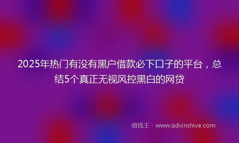 2025年热门有没有黑户借款必下口子的平台，总结5个真正无视风控黑白的网贷
