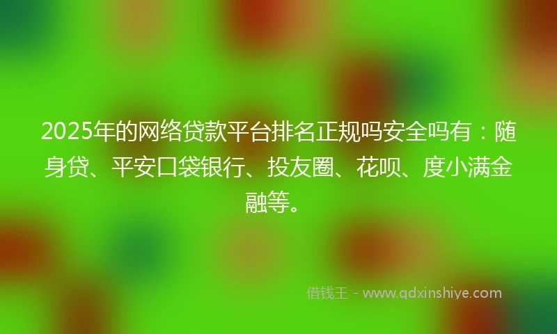 2025年的网络贷款平台排名正规吗安全吗有：随身贷、平安口袋银行、投友圈、花呗、度小满金融等。