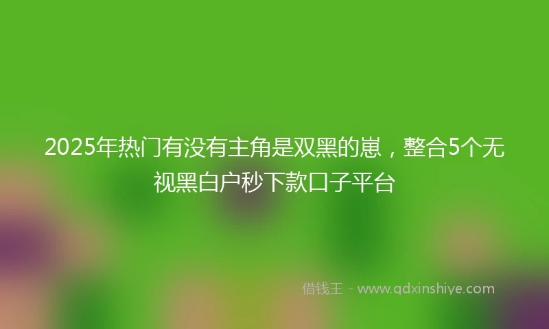 2025年热门有没有主角是双黑的崽，整合5个无视黑白户秒下款口子平台
