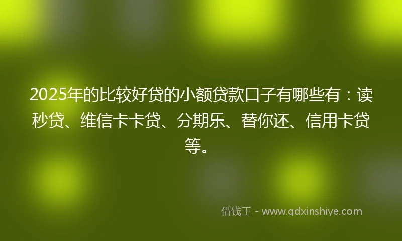 2025年的比较好贷的小额贷款口子有哪些有：读秒贷、维信卡卡贷、分期乐、替你还、信用卡贷等。