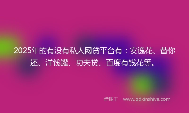 2025年的有没有私人网贷平台有：安逸花、替你还、洋钱罐、功夫贷、百度有钱花等。