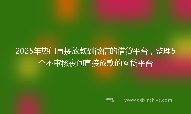 2025年热门直接放款到微信的借贷平台，整理5个不审核夜间直接放款的网贷平台