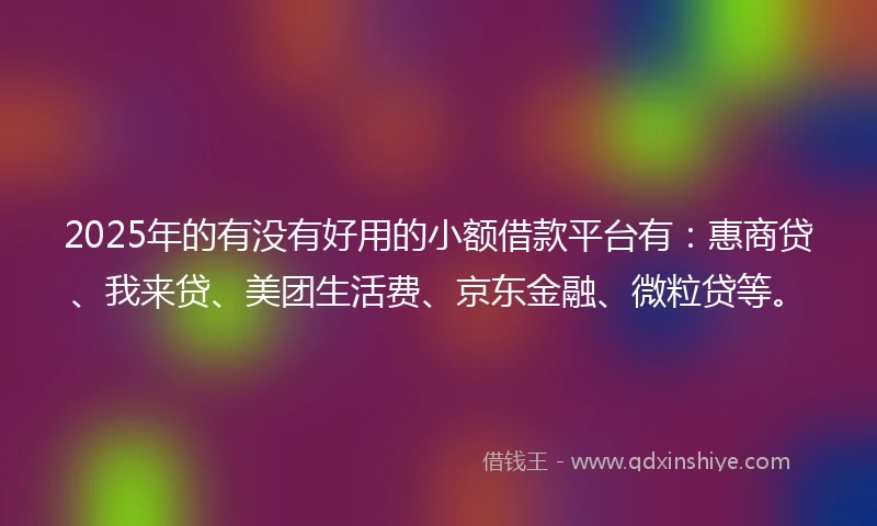 2025年的有没有好用的小额借款平台有：惠商贷、我来贷、美团生活费、京东金融、微粒贷等。