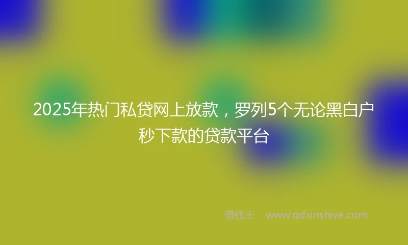 2025年热门私贷网上放款，罗列5个无论黑白户秒下款的贷款平台