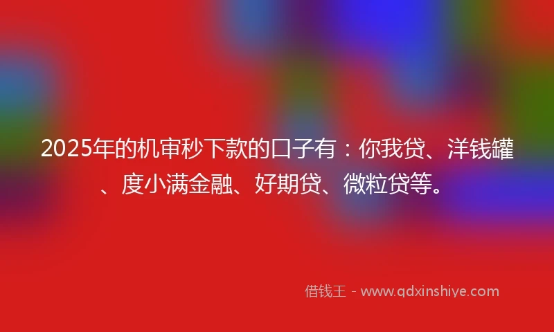 2025年的机审秒下款的口子有：你我贷、洋钱罐、度小满金融、好期贷、微粒贷等。