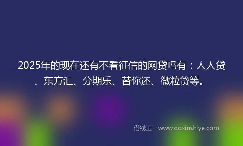 2025年的现在还有不看征信的网贷吗有：人人贷、东方汇、分期乐、替你还、微粒贷等。