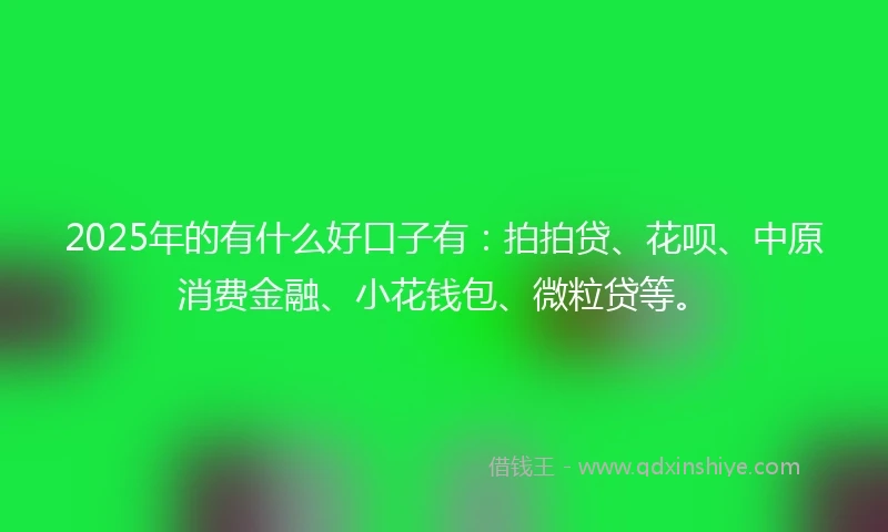 2025年的有什么好口子有：拍拍贷、花呗、中原消费金融、小花钱包、微粒贷等。