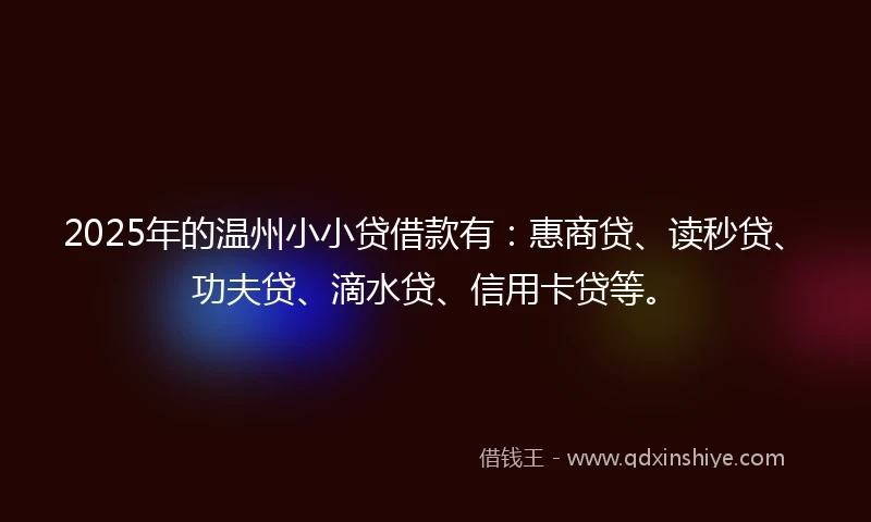 2025年的温州小小贷借款有：惠商贷、读秒贷、功夫贷、滴水贷、信用卡贷等。