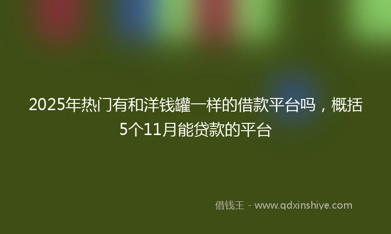 2025年热门有和洋钱罐一样的借款平台吗，概括5个11月能贷款的平台