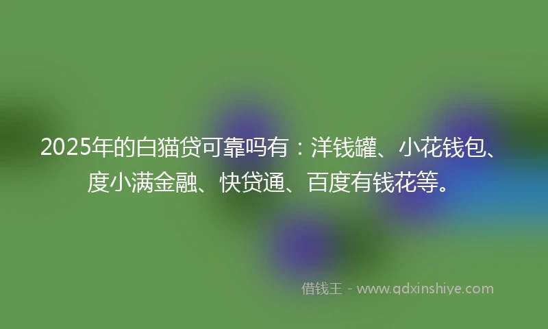 2025年的白猫贷可靠吗有：洋钱罐、小花钱包、度小满金融、快贷通、百度有钱花等。