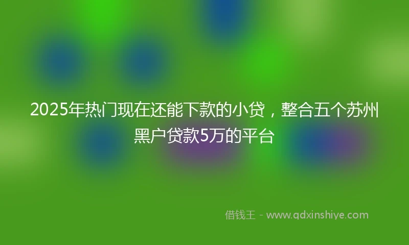 2025年热门现在还能下款的小贷，整合五个苏州黑户贷款5万的平台