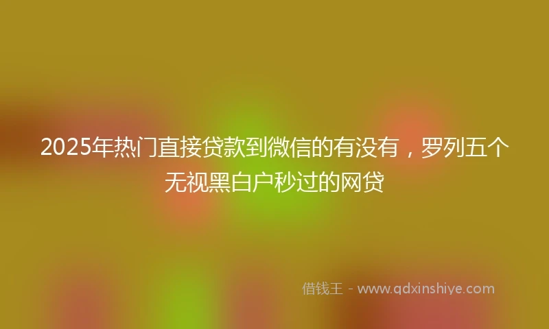 2025年热门直接贷款到微信的有没有，罗列五个无视黑白户秒过的网贷