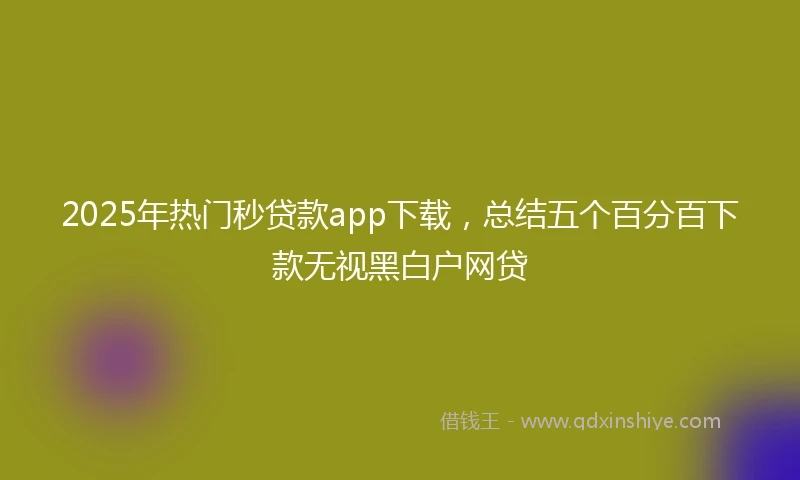 2025年热门秒贷款app下载，总结五个百分百下款无视黑白户网贷
