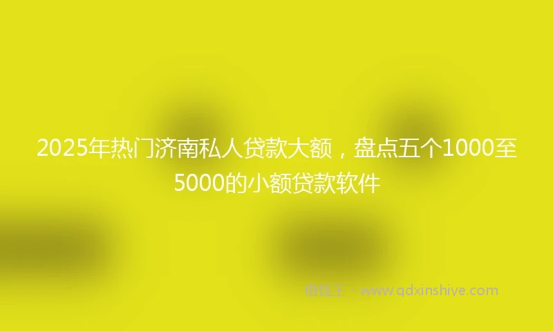 2025年热门济南私人贷款大额，盘点五个1000至5000的小额贷款软件