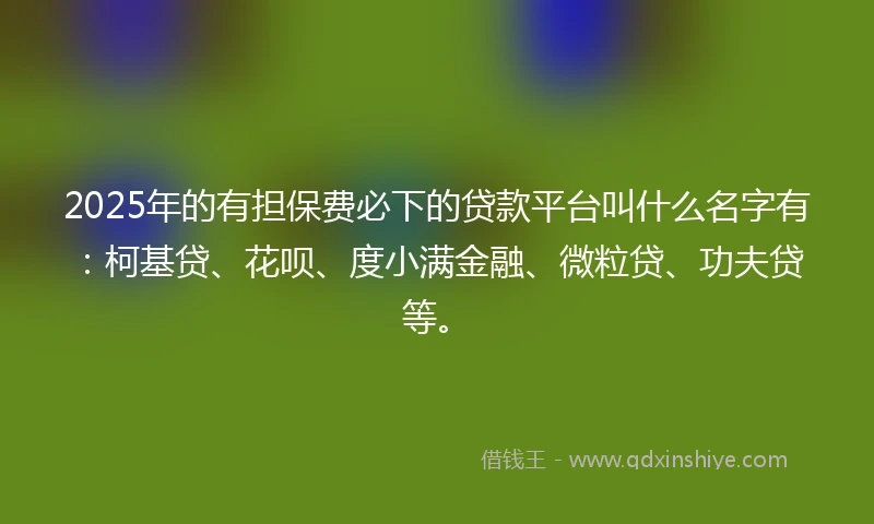 2025年的有担保费必下的贷款平台叫什么名字有：柯基贷、花呗、度小满金融、微粒贷、功夫贷等。