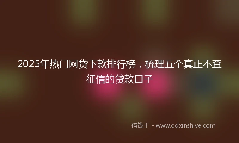 2025年热门网贷下款排行榜,梳理五个真正不查征信的贷款口子