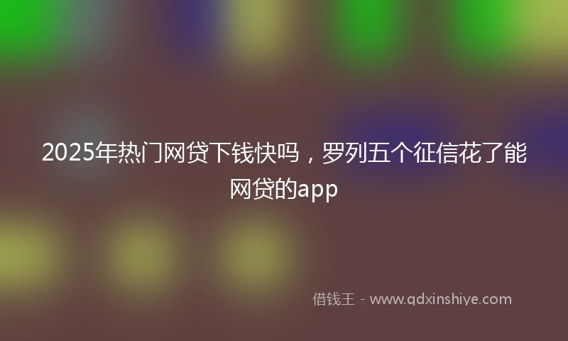 2025年热门网贷下钱快吗，罗列五个征信花了能网贷的app