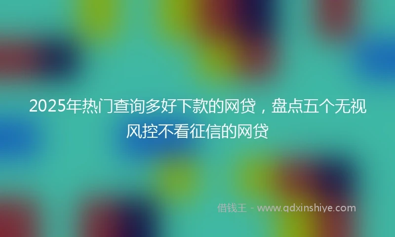 2025年热门查询多好下款的网贷，盘点五个无视风控不看征信的网贷