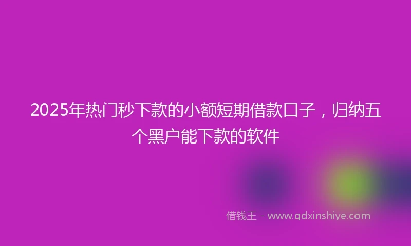 2025年热门秒下款的小额短期借款口子，归纳五个黑户能下款的软件