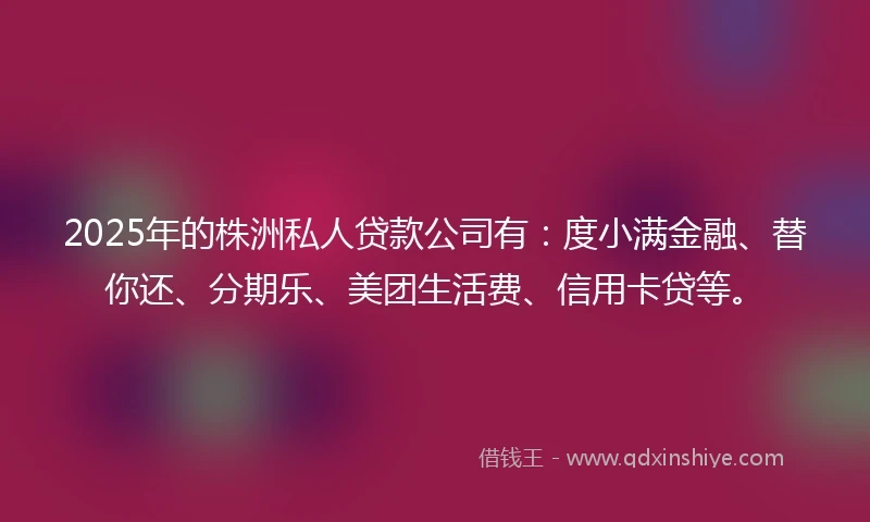 2025年的株洲私人贷款公司有：度小满金融、替你还、分期乐、美团生活费、信用卡贷等。