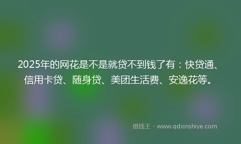 2025年的网花是不是就贷不到钱了有：快贷通、信用卡贷、随身贷、美团生活费、安逸花等。