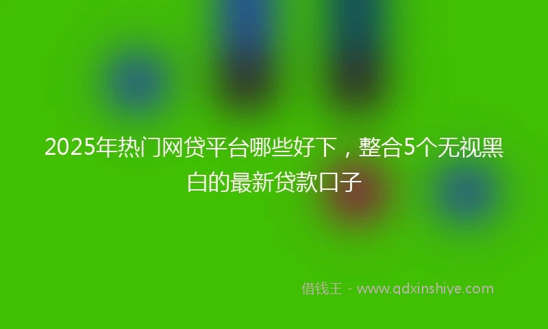 2025年热门网贷平台哪些好下，整合5个无视黑白的最新贷款口子