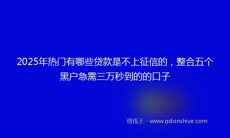 2025年热门有哪些贷款是不上征信的，整合五个黑户急需三万秒到的的口子