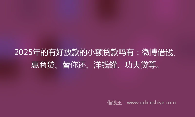 2025年的有好放款的小额贷款吗有：微博借钱、惠商贷、替你还、洋钱罐、功夫贷等。