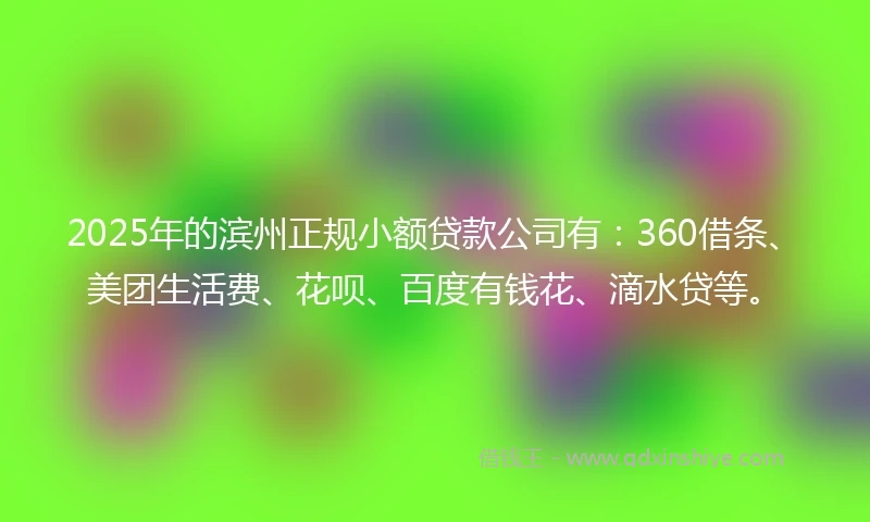2025年的滨州正规小额贷款公司有：360借条、美团生活费、花呗、百度有钱花、滴水贷等。