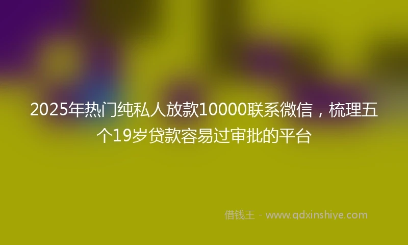 2025年热门纯私人放款10000联系微信，梳理五个19岁贷款容易过审批的平台