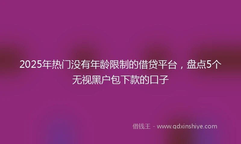 2025年热门没有年龄限制的借贷平台，盘点5个无视黑户包下款的口子