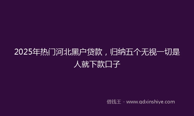 2025年热门河北黑户贷款，归纳五个无视一切是人就下款口子
