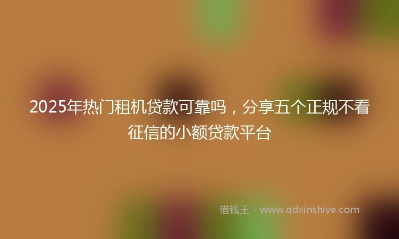 2025年热门租机贷款可靠吗，分享五个正规不看征信的小额贷款平台
