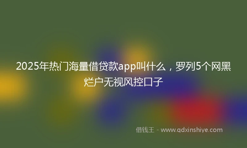 2025年热门海量借贷款app叫什么，罗列5个网黑烂户无视风控口子