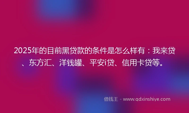2025年的目前黑贷款的条件是怎么样有：我来贷、东方汇、洋钱罐、平安i贷、信用卡贷等。