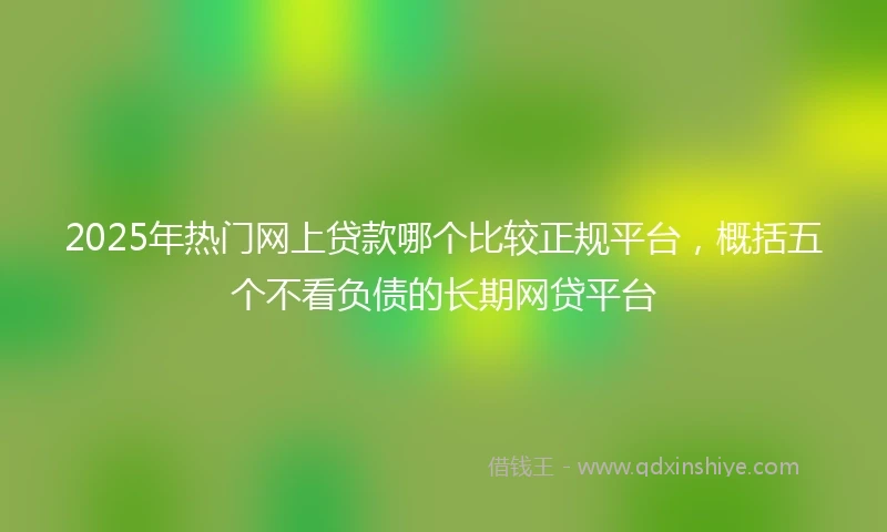 2025年热门网上贷款哪个比较正规平台，概括五个不看负债的长期网贷平台