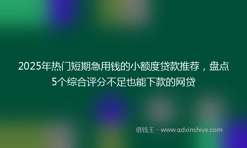 2025年热门短期急用钱的小额度贷款推荐，盘点5个综合评分不足也能下款的网贷