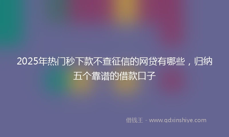 2025年热门秒下款不查征信的网贷有哪些，归纳五个靠谱的借款口子