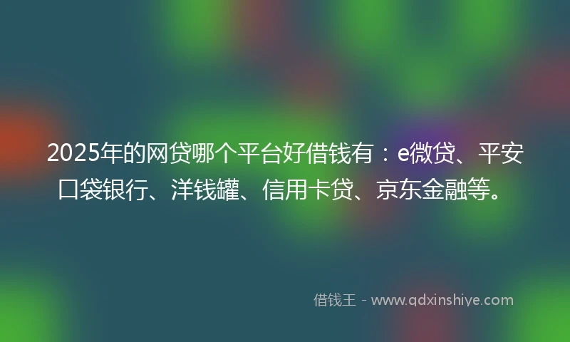 2025年的网贷哪个平台好借钱有：e微贷、平安口袋银行、洋钱罐、信用卡贷、京东金融等。