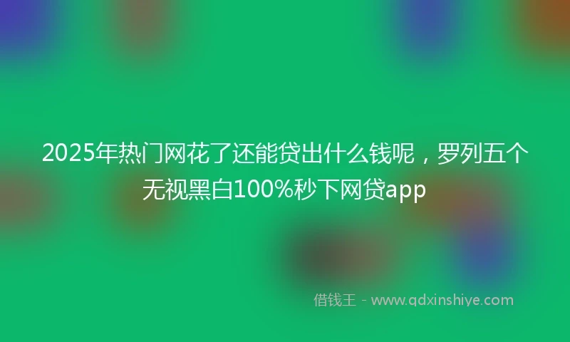 2025年热门网花了还能贷出什么钱呢，罗列五个无视黑白100%秒下网贷app