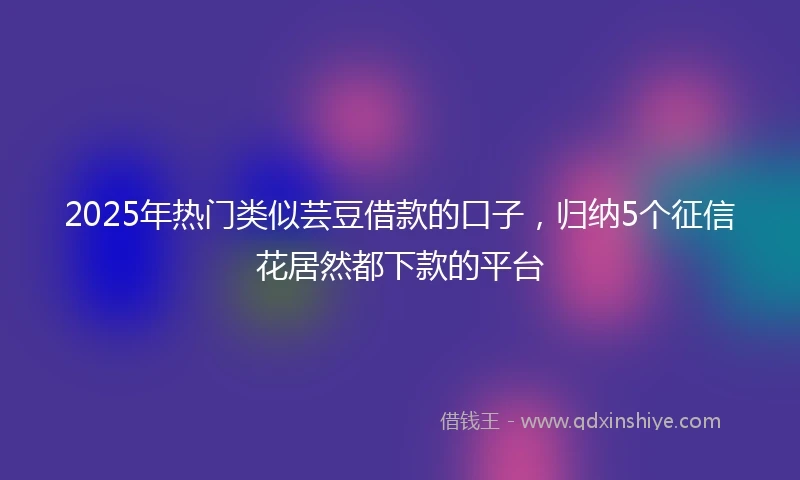 2025年热门类似芸豆借款的口子，归纳5个征信花居然都下款的平台