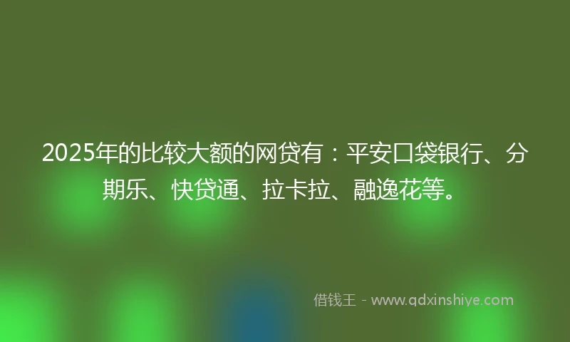 2025年的比较大额的网贷有：平安口袋银行、分期乐、快贷通、拉卡拉、融逸花等。