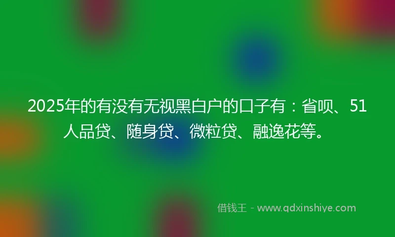 2025年的有没有无视黑白户的口子有：省呗、51人品贷、随身贷、微粒贷、融逸花等。