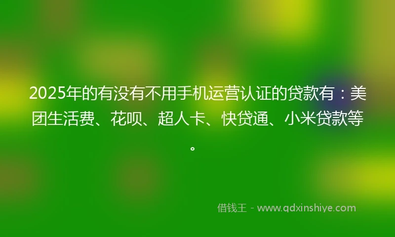 2025年的有没有不用手机运营认证的贷款有：美团生活费、花呗、超人卡、快贷通、小米贷款等。