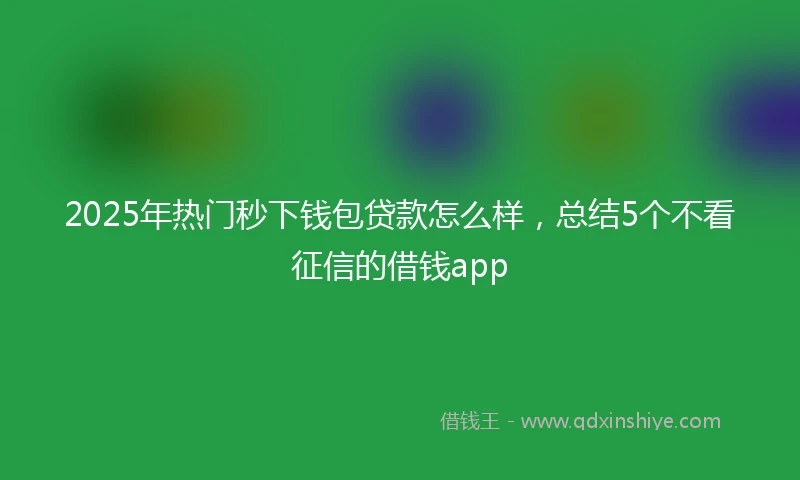 2025年热门秒下钱包贷款怎么样，总结5个不看征信的借钱app