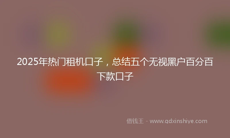 2025年热门租机口子，总结五个无视黑户百分百下款口子