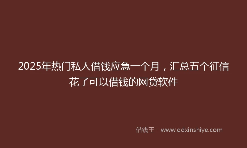 2025年热门私人借钱应急一个月，汇总五个征信花了可以借钱的网贷软件