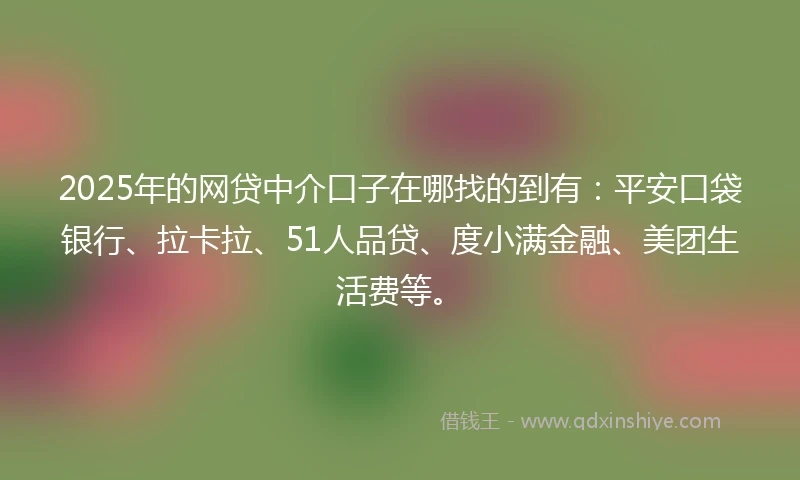 2025年的网贷中介口子在哪找的到有：平安口袋银行、拉卡拉、51人品贷、度小满金融、美团生活费等。