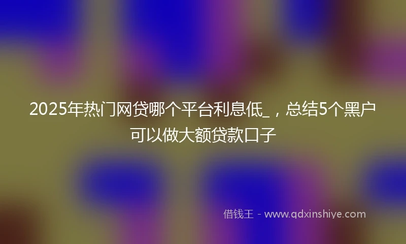 2025年热门网贷哪个平台利息低_，总结5个黑户可以做大额贷款口子