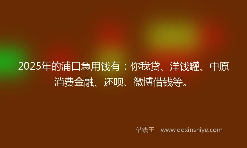 2025年的浦口急用钱有：你我贷、洋钱罐、中原消费金融、还呗、微博借钱等。